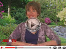 Sales Tip of the Week