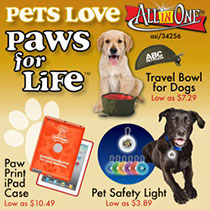Advertisement: All In One