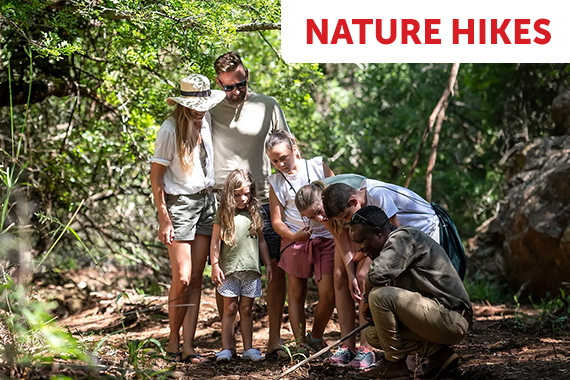 Nature Hikes