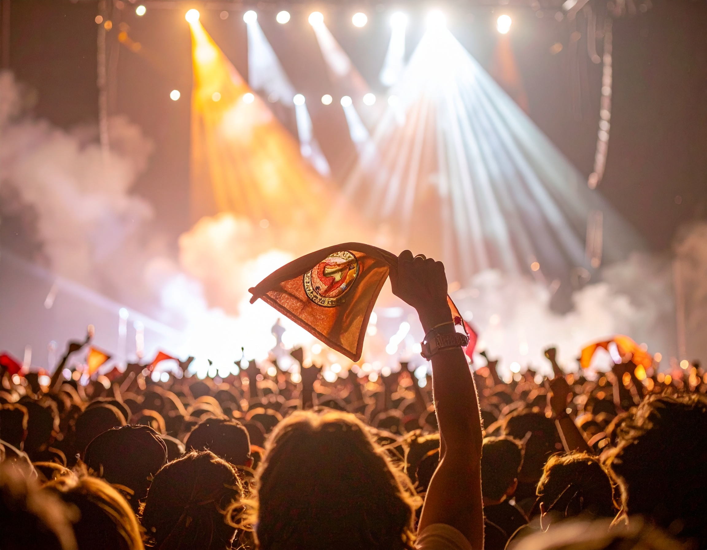 crowd in a dark concert with towels