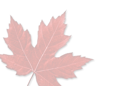 made in the usa products from labeled premium apparel