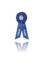 Ribbon Awards from A1 Awards & Promotions