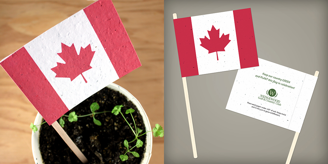 Seed Paper Canadian Flags