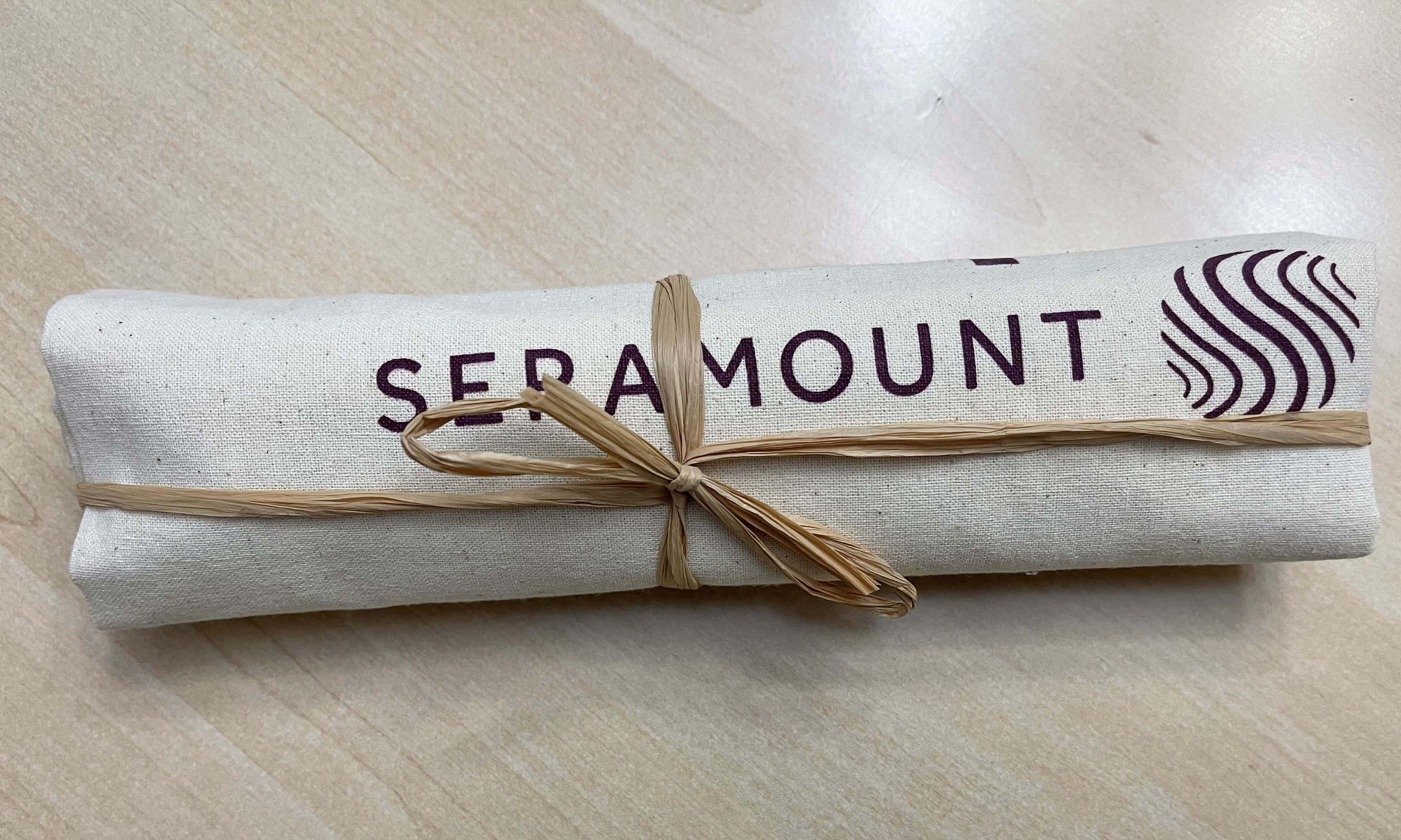 Dress up your presentation! This simple tote bag was mailed out to employees when Working Mother Media Group changed its name to Seramount.
