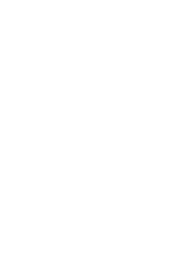 half tire icon