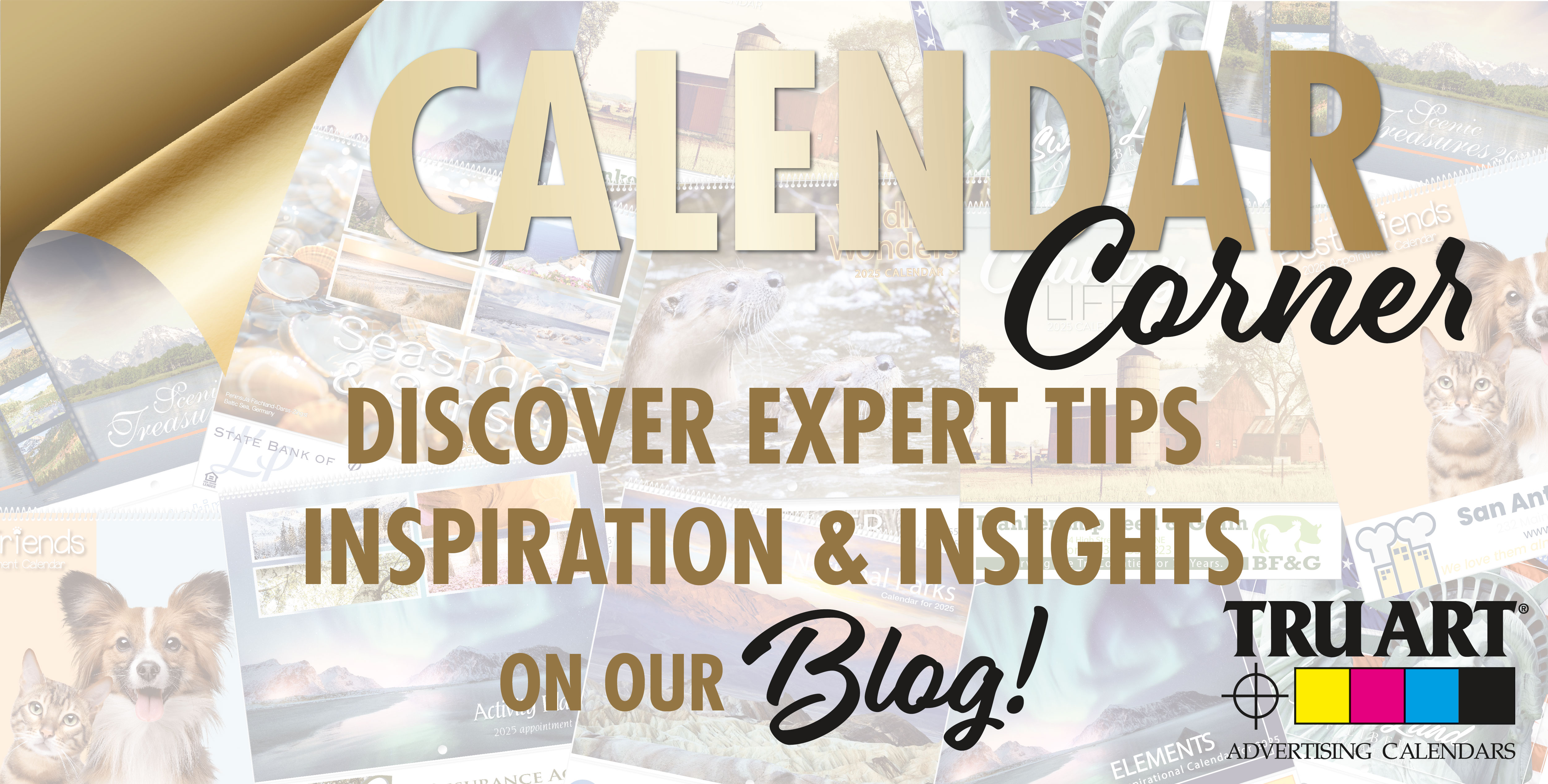 Discover expert tips inspiration and insights on our blog