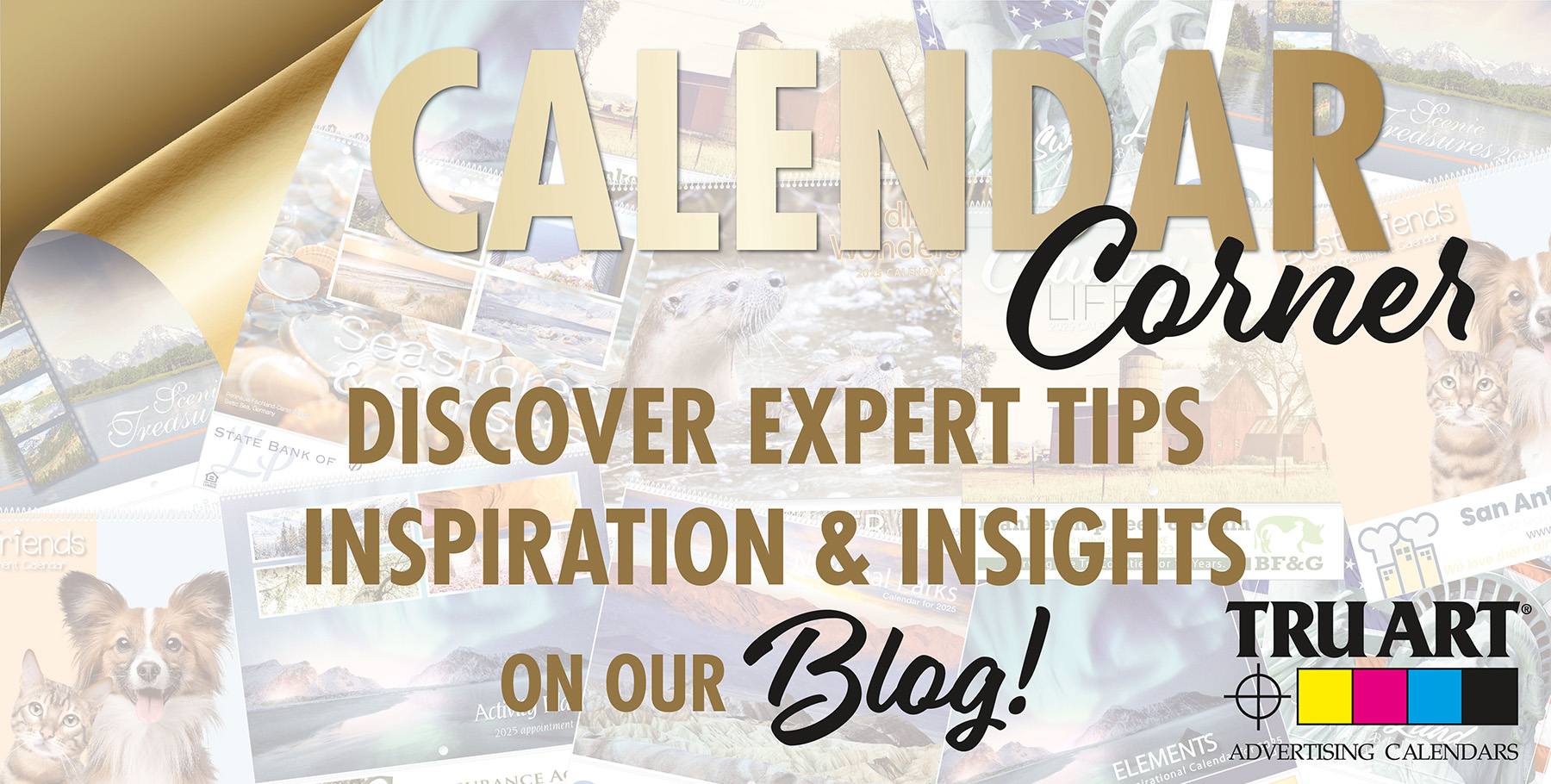 Discover expert tips inspiration and insights on our blog