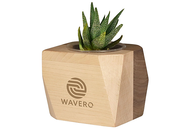 Geometric Wooden Planter with Succulent