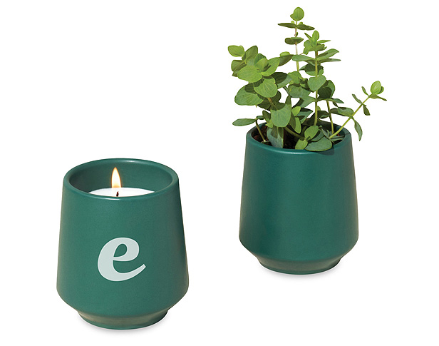 Modern Sprout rooted candle
